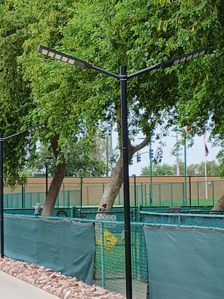 Carriage Manor Resort Patriots Park and Dog Park Lighting Summer 2026 Project