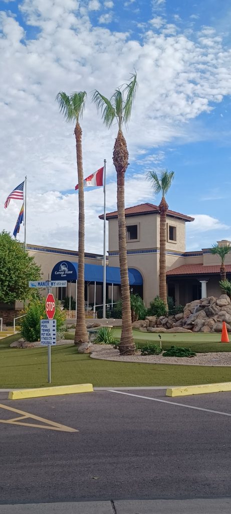 Carriage Manor Resort Finished Palm Trees